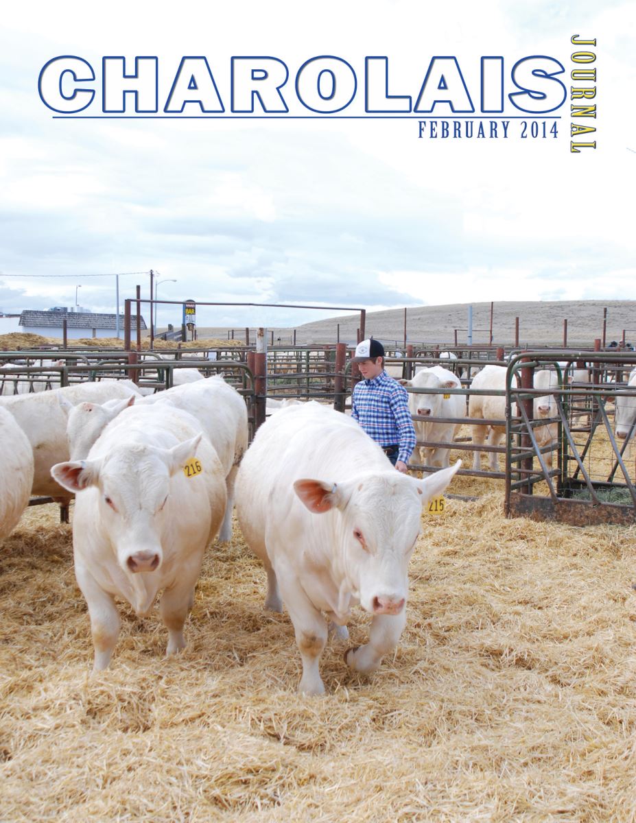 aica, charolais journal